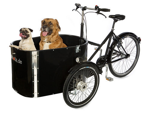 Električni bicikli – eBike.hr