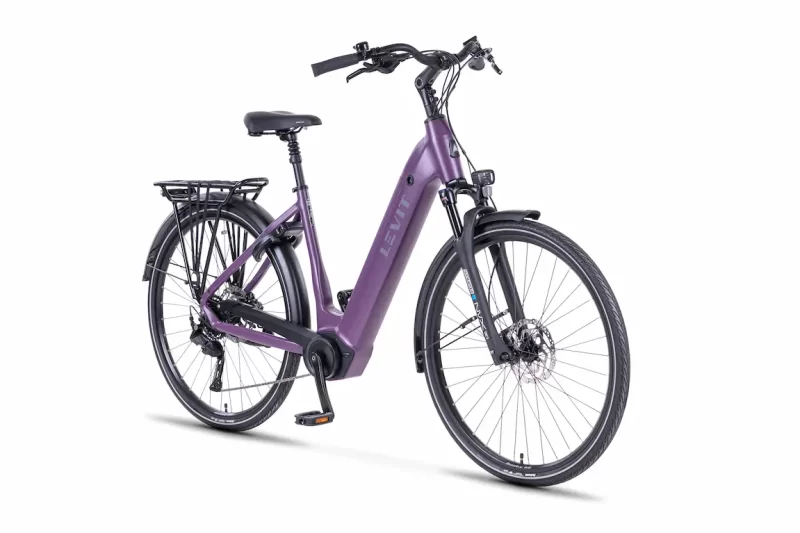 Levit Beleco RD bordo front